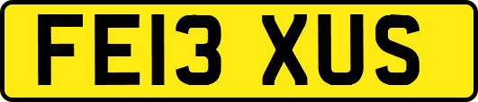 FE13XUS