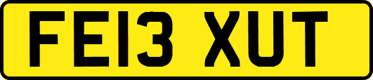 FE13XUT