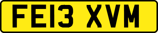 FE13XVM