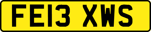 FE13XWS