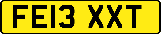 FE13XXT