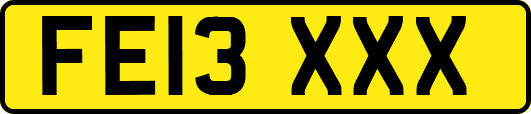 FE13XXX