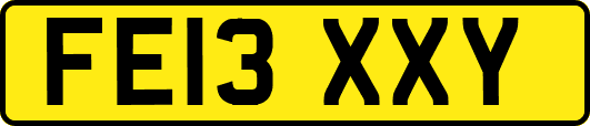 FE13XXY