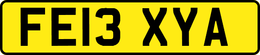 FE13XYA