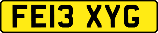 FE13XYG