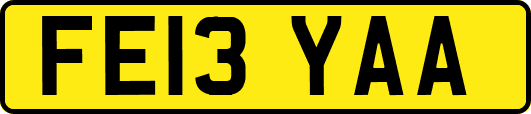 FE13YAA