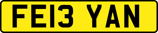FE13YAN