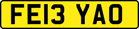 FE13YAO