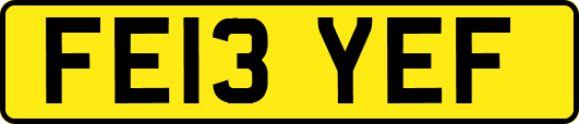 FE13YEF