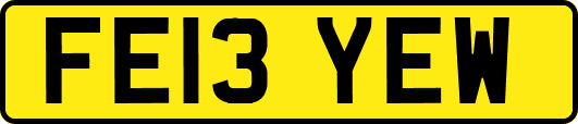 FE13YEW