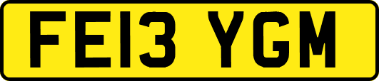 FE13YGM