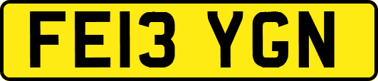 FE13YGN