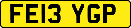 FE13YGP