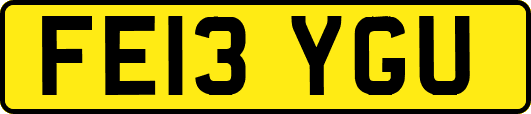 FE13YGU