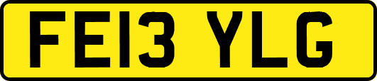 FE13YLG