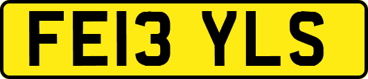 FE13YLS