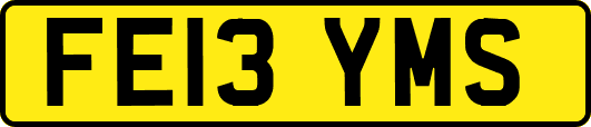 FE13YMS
