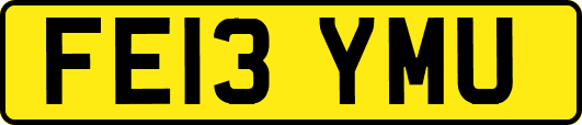 FE13YMU