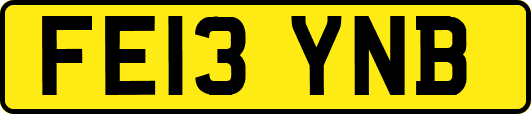 FE13YNB