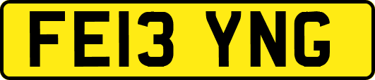 FE13YNG