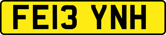 FE13YNH