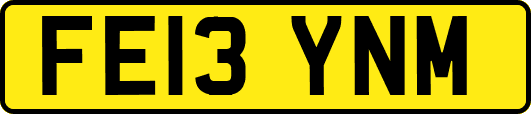 FE13YNM