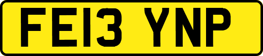 FE13YNP