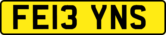 FE13YNS