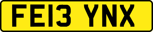 FE13YNX