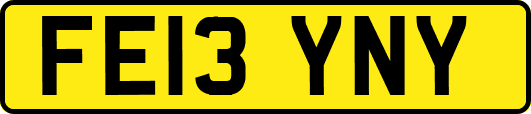 FE13YNY