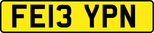 FE13YPN