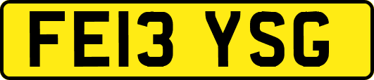 FE13YSG
