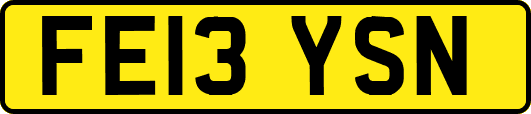 FE13YSN