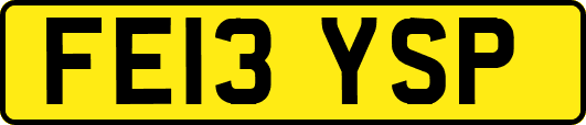 FE13YSP