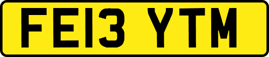 FE13YTM