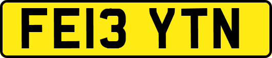 FE13YTN