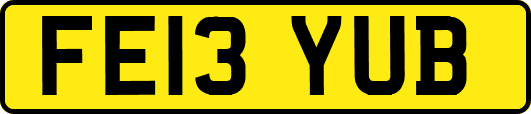 FE13YUB