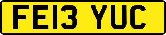FE13YUC