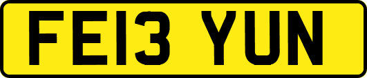 FE13YUN