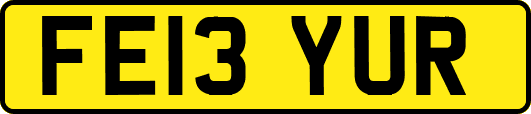 FE13YUR