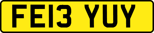 FE13YUY