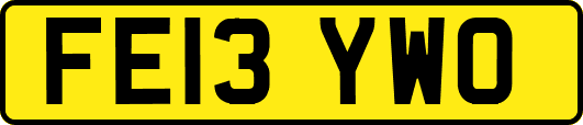 FE13YWO