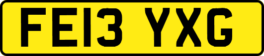 FE13YXG