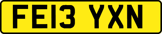 FE13YXN