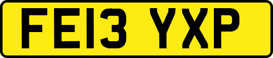 FE13YXP