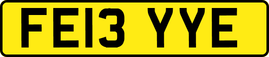 FE13YYE