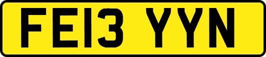FE13YYN