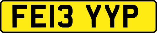 FE13YYP
