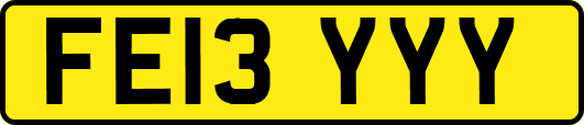 FE13YYY