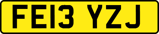 FE13YZJ